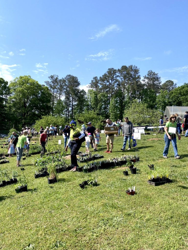 Shoppers at the Georgia Native Plant Society spring plant sale. 